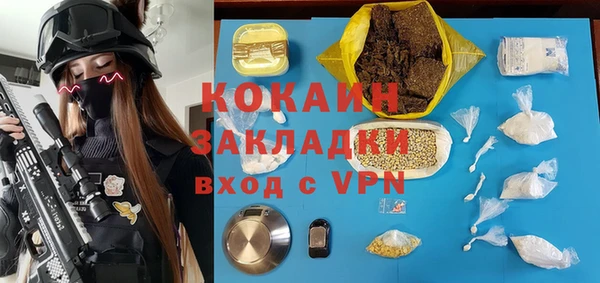 не бодяженный Алексин