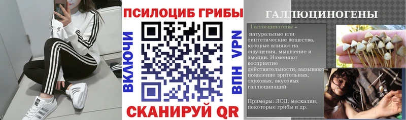 Галлюциногенные грибы Psilocybe  omg как зайти  Кизел 